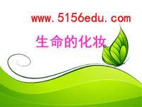《生命的化妆》ppt课件(19页)